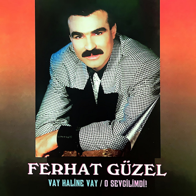 Vay Haline Vay / O Sevgilimdi cover art