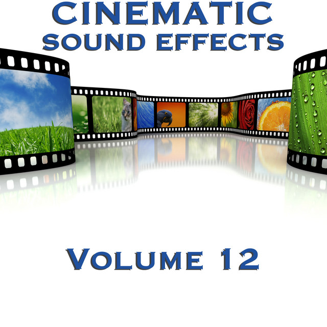 Cinematic Sound Effects, Vol. 12 cover art