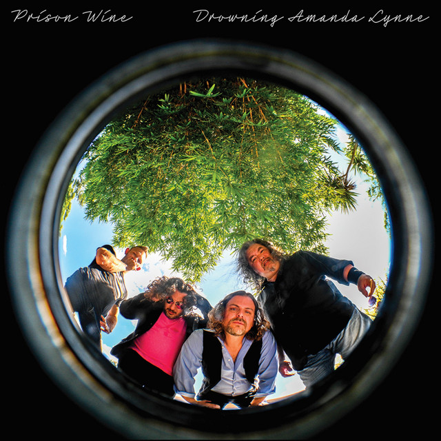 Drowning Amanda Lynne cover art