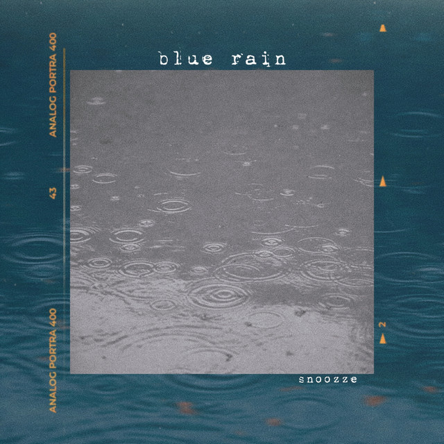 blue rain cover