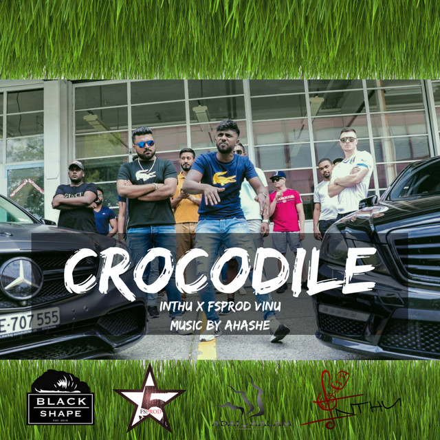 Crocodile