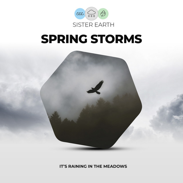 Spring Storms: It's Raining in the Meadows - Album by Rain Sounds | Spotify