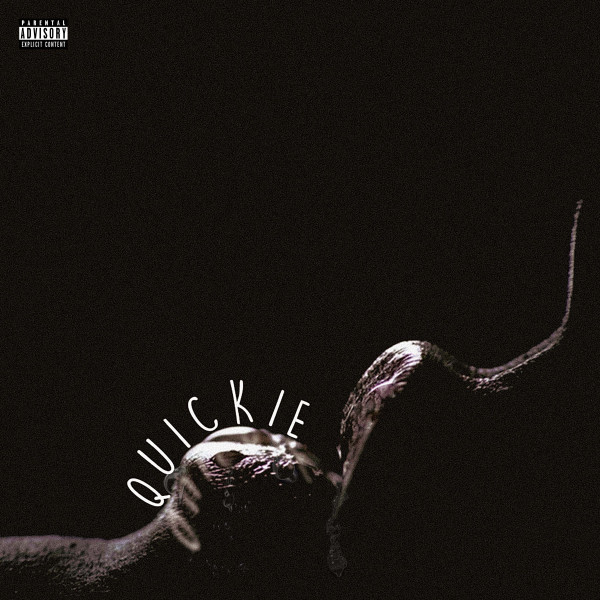 Quickie cover art