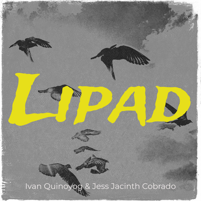 Lipad cover art
