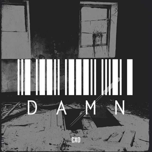 Damn - Album by cXo | Spotify