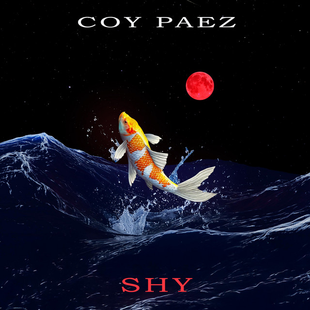 SHY cover art