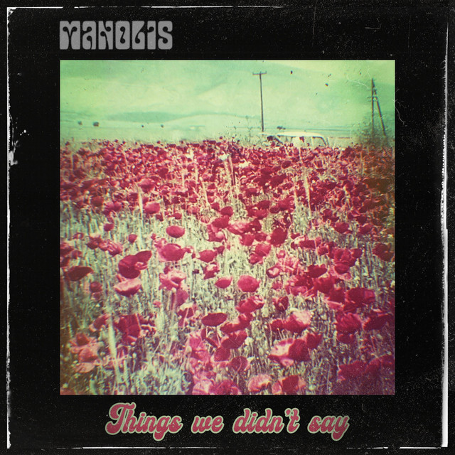 Things We Didn't Say cover art