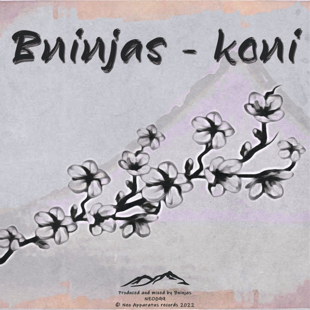 Koni cover