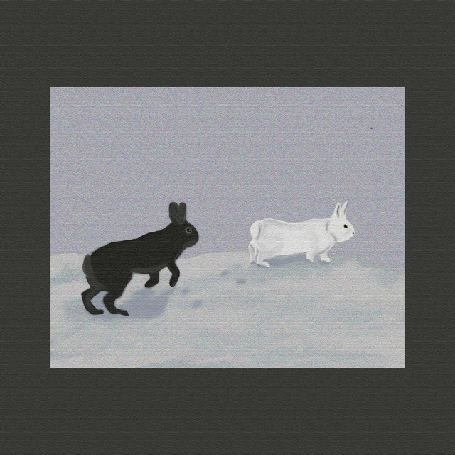 Snow Bunnies - Single by Musi | Spotify