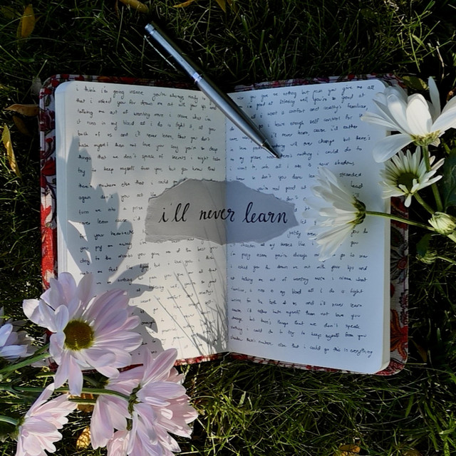 i'll never learn cover art