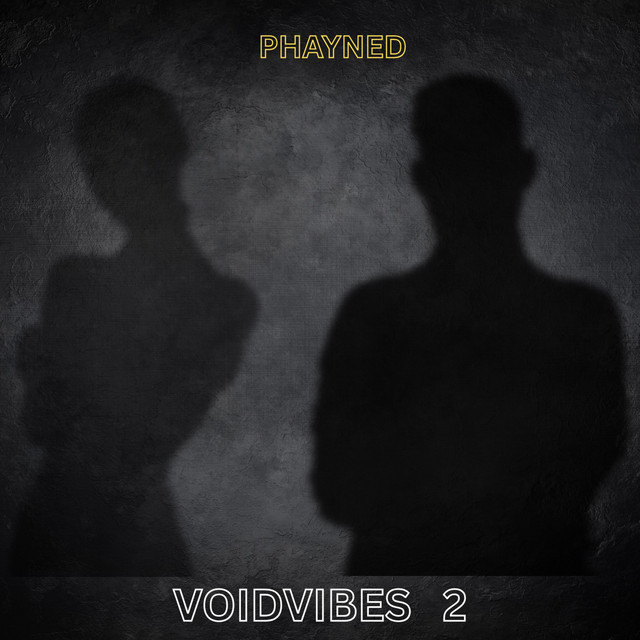 VoidVibes 2 cover art
