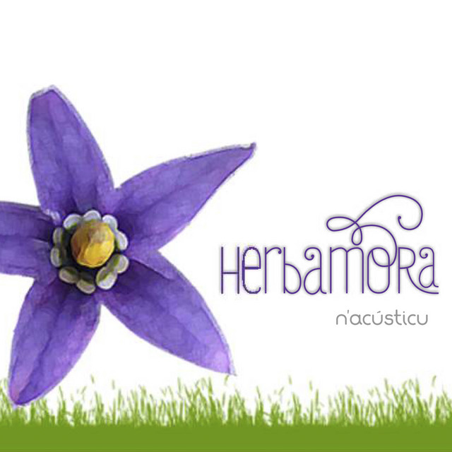 Herbamora Photo