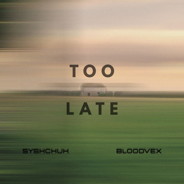 Обкладинка: TOO LATE — syshchuk