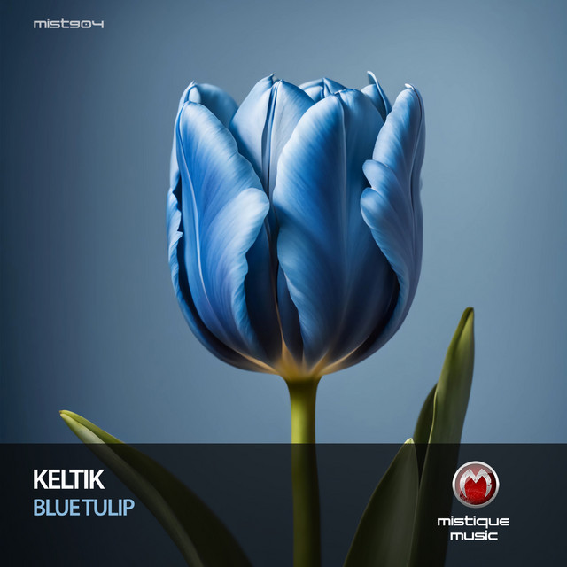 Blue Tulip album art