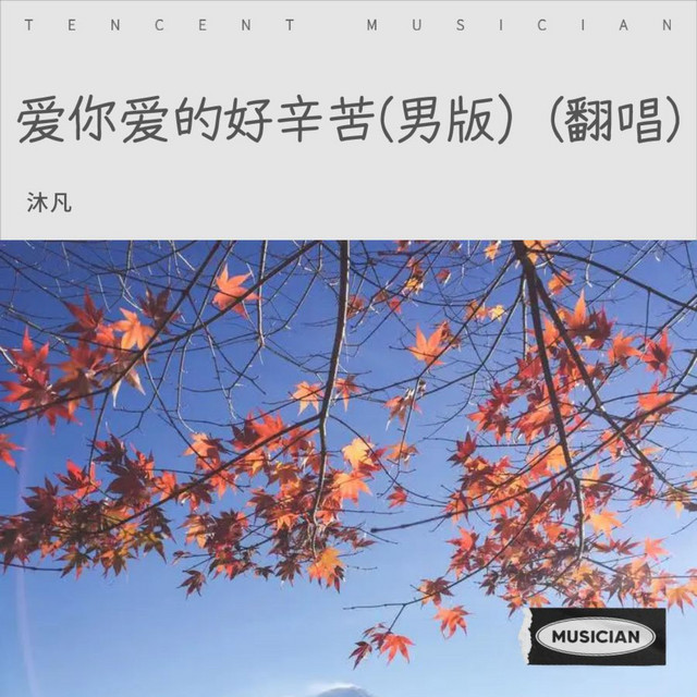 爱你爱的好辛苦(男版）(翻唱)