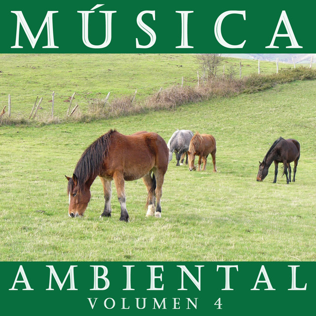 Música Ambiental Vol. 4 cover art