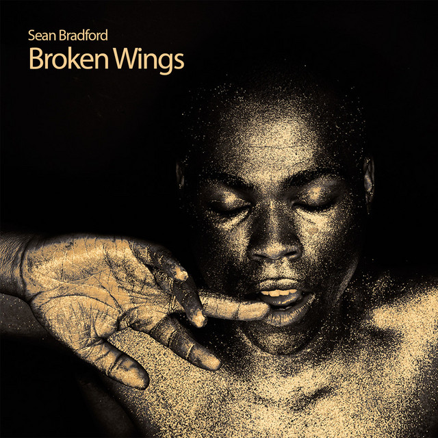 Broken Wings cover