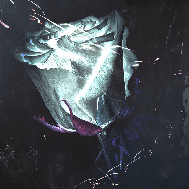 An Dir cover art