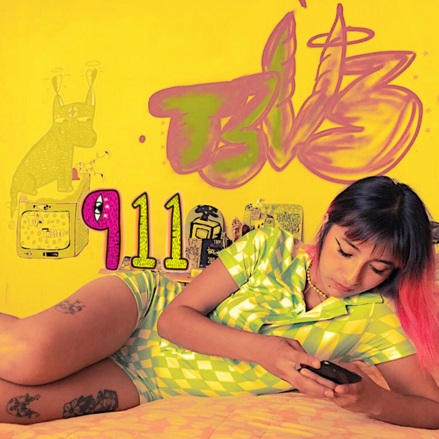 911 cover art