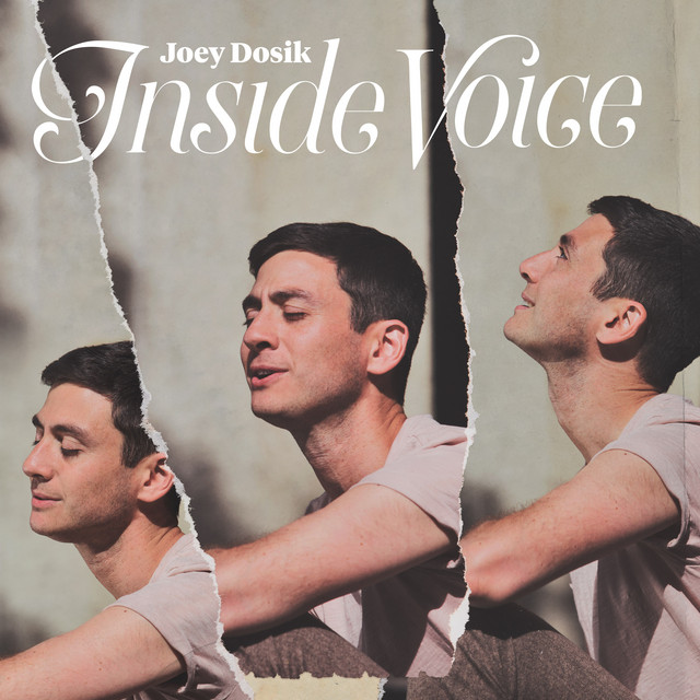 Inside Voice — Joey Dosik