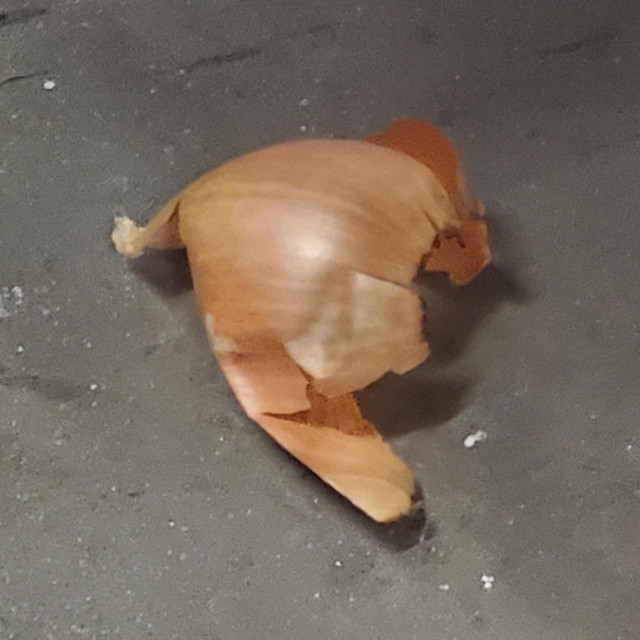 Discarded Onion Skins - Album by Dominic Intervallo | Spotify