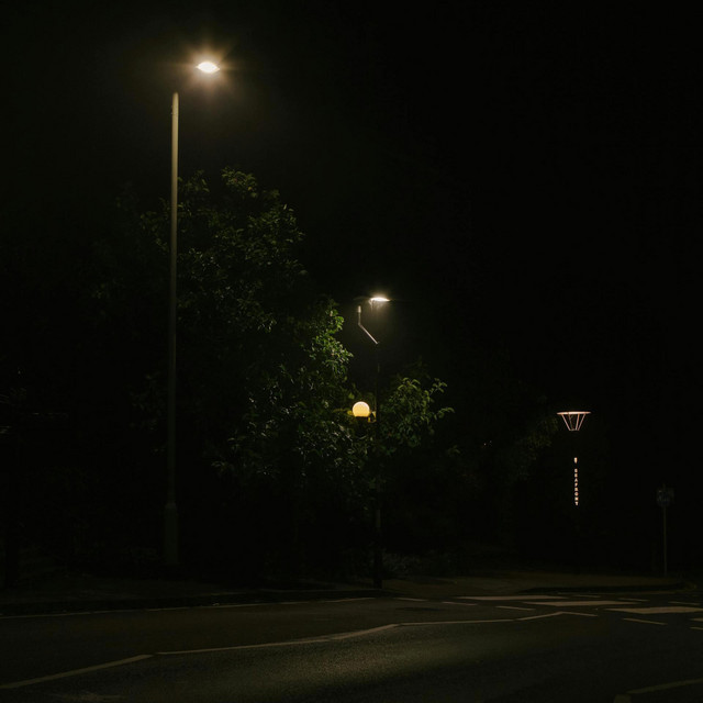 evening walk