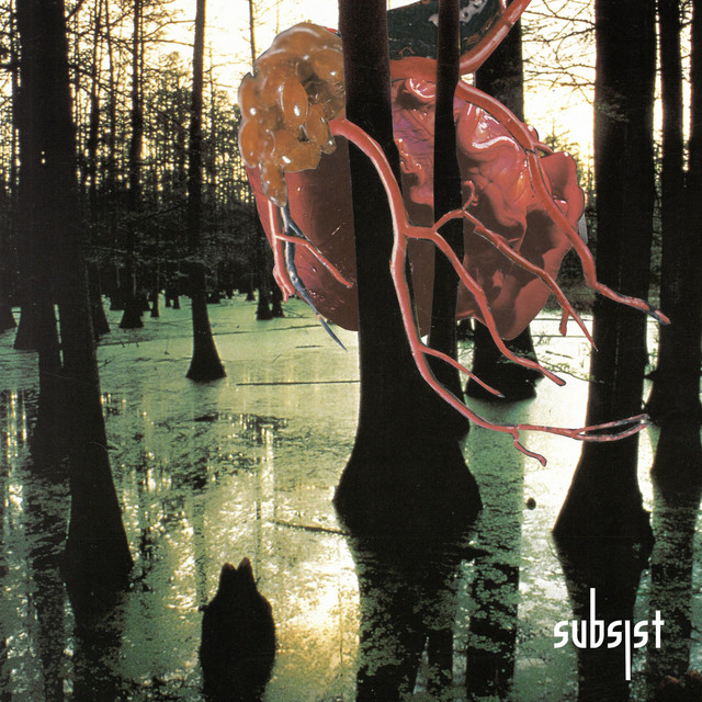 Reverse Engineering of Obfuscation cover art