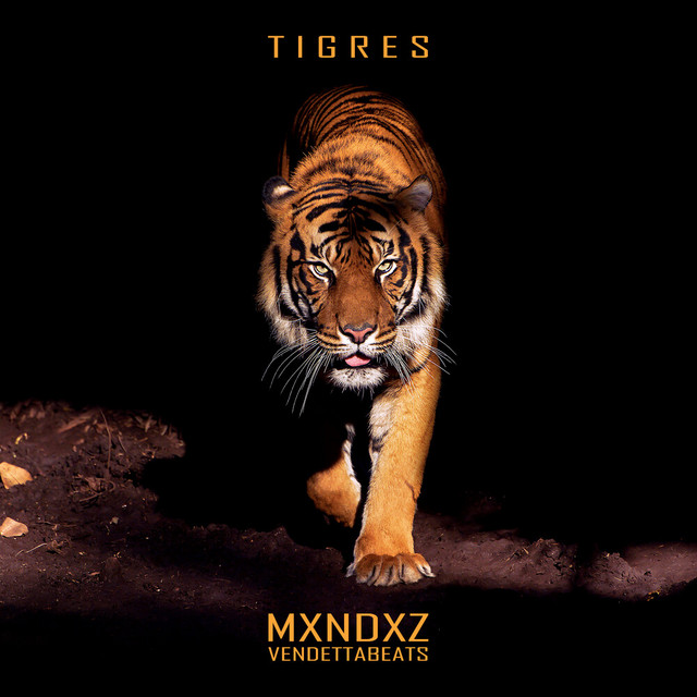 TIGRES cover art