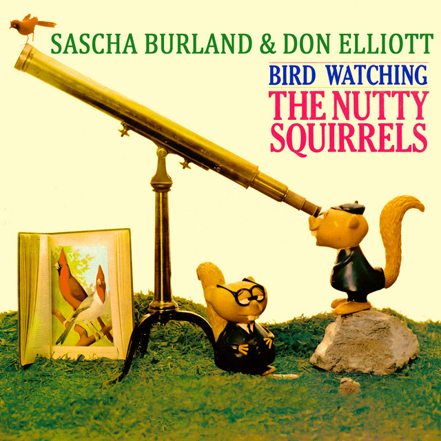 The Nutty Squirrels - Bird Watching cover art