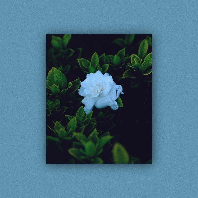 My Side cover art