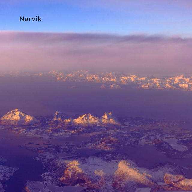 Narvik cover art