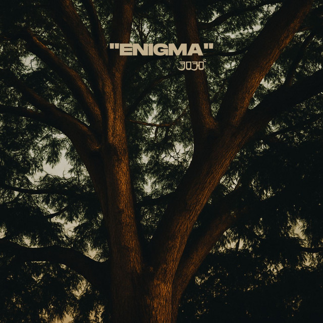 Enigma cover art