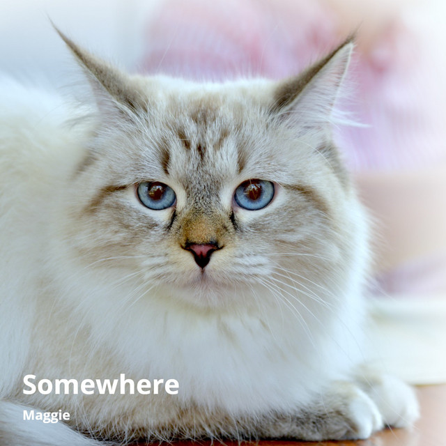 Somewhere cover art