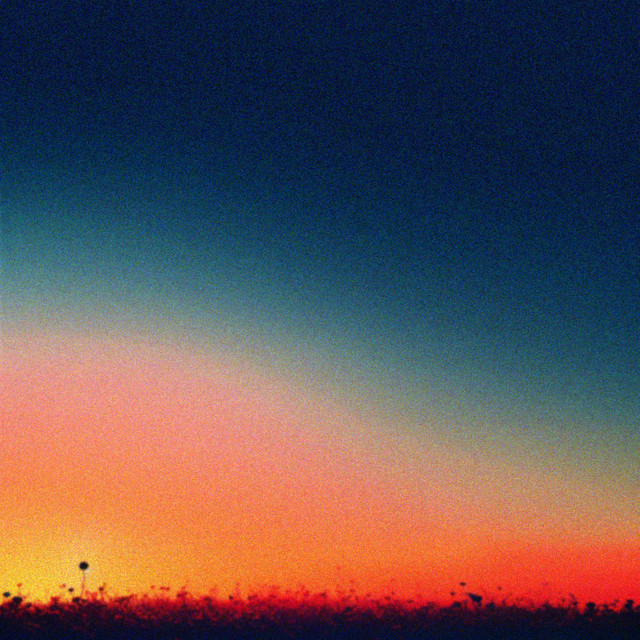les larmes cover art