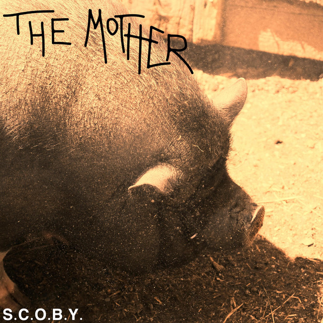 THE MOTHER cover art