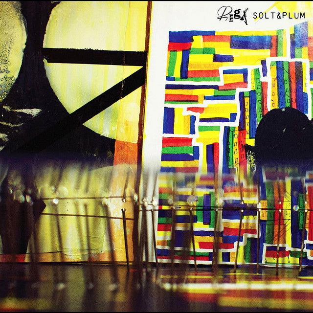 SOLT&PLUM cover art