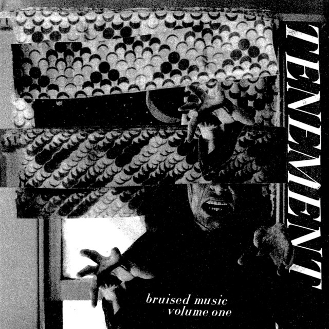 Bruised Music, Vol. 1 cover art