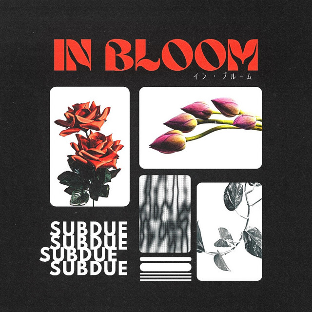 In Bloom cover