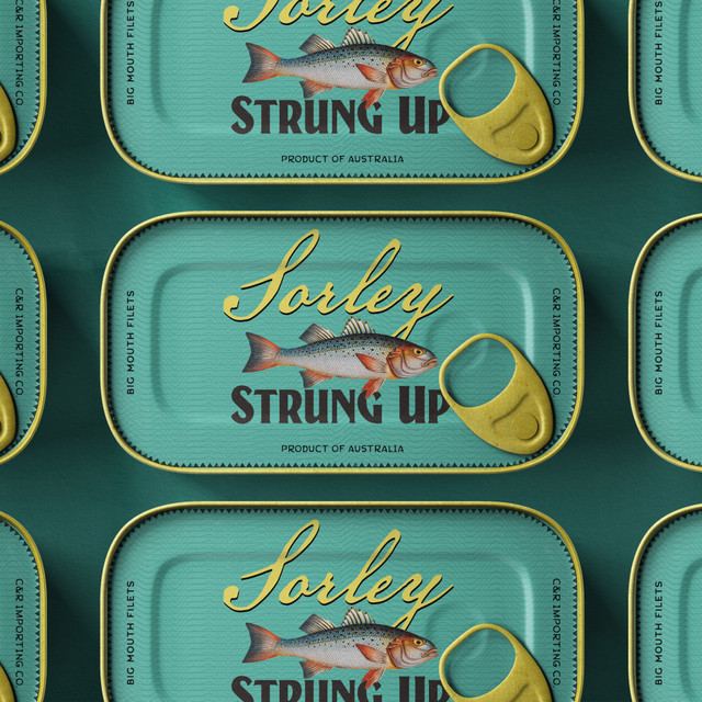 Strung Up - Extended Mix album art
