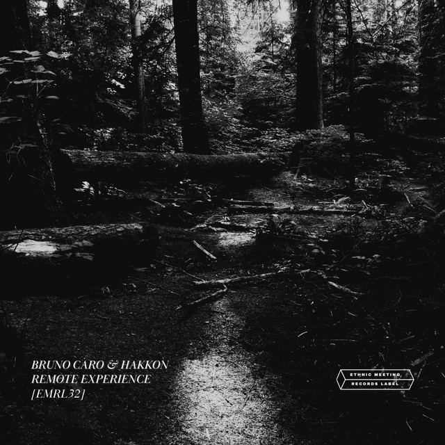 Remote Experience cover art