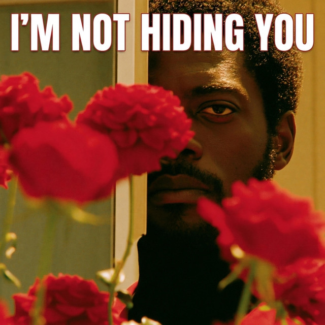 I'm Not Hiding You album image