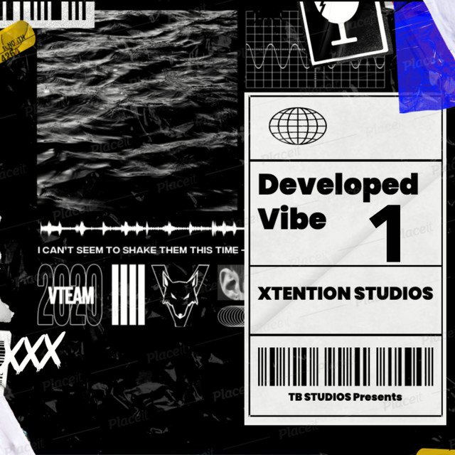 Developed Vibe pt. 1 cover art
