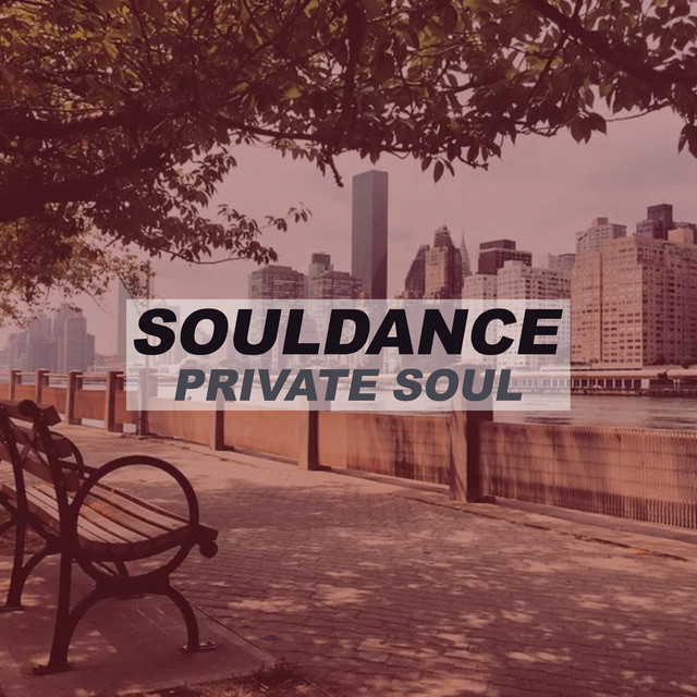 Private Soul cover art