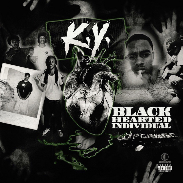 Black Hearted Individual cover art
