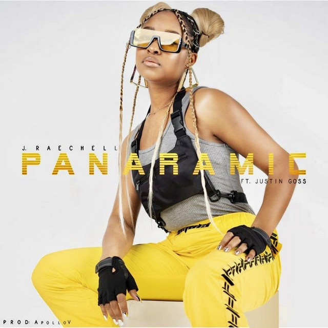 Panaramic cover art