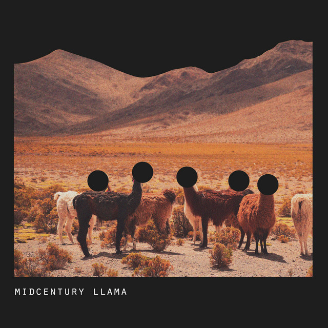 Midcentury Llama cover art