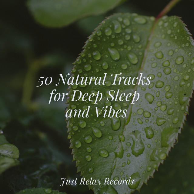 50 Natural Tracks for Deep Sleep and Vibes - Album by Mantra para ...