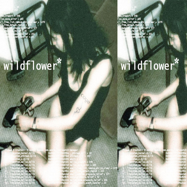 wildflower cover art
