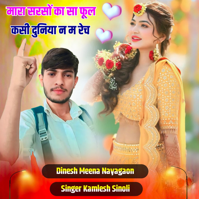 Kamlesh Sinoli image