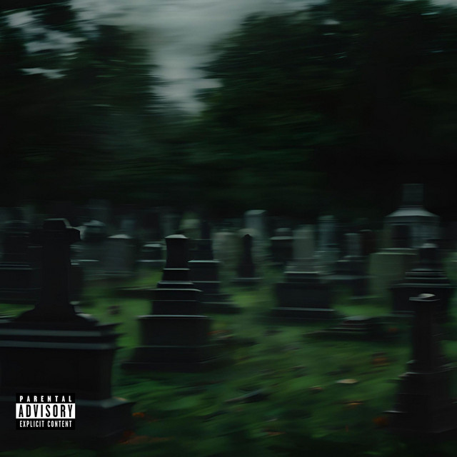 Blind cover art